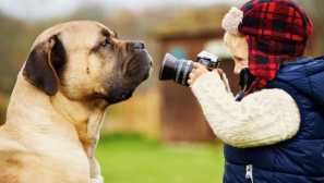 Ako fotografovať psy - tipy s fotografiami